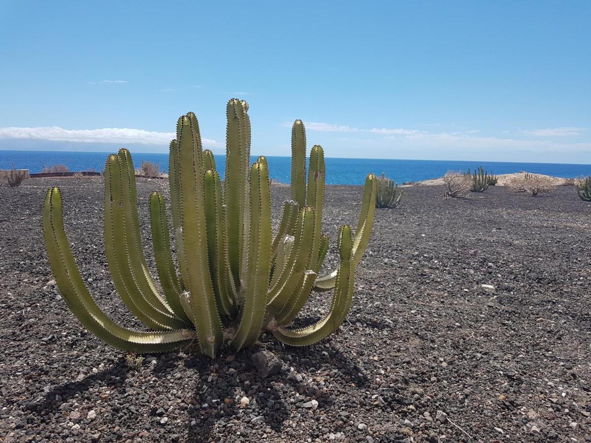 Tenerife Lizards - Duplex In The First Line Callao Salvaje Exteriér fotografie