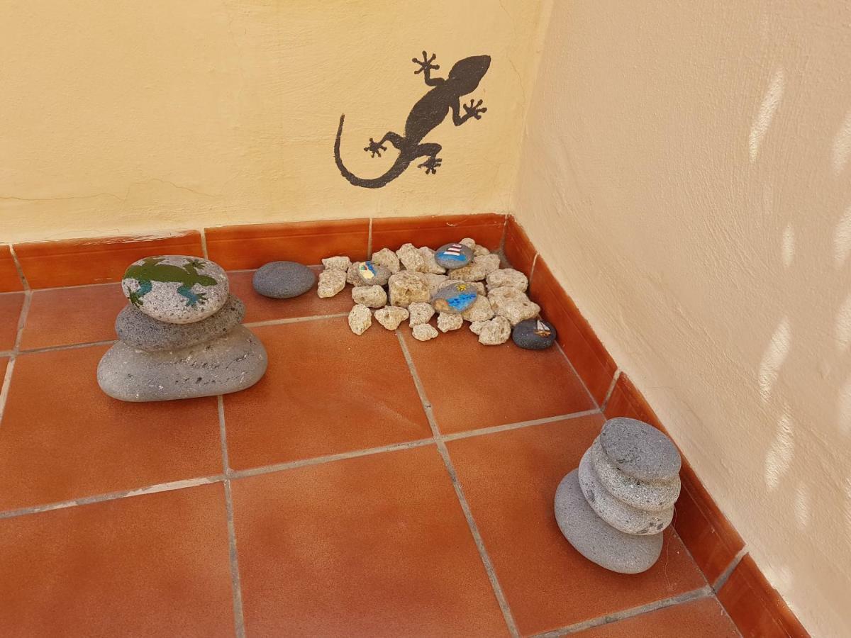 Tenerife Lizards - Duplex In The First Line Callao Salvaje Exteriér fotografie